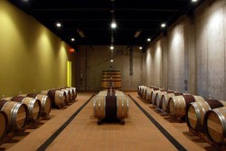 2Lads barrel room